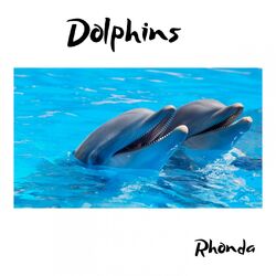 Cover of Dolphins