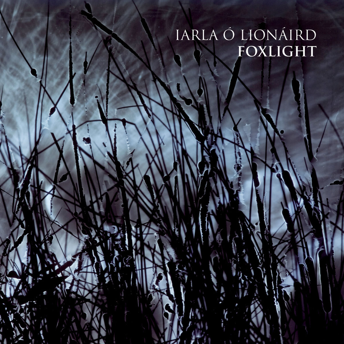 Album cover of Foxlight