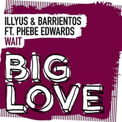 Cover of Wait
