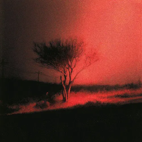 Piss In The Wind — cover art