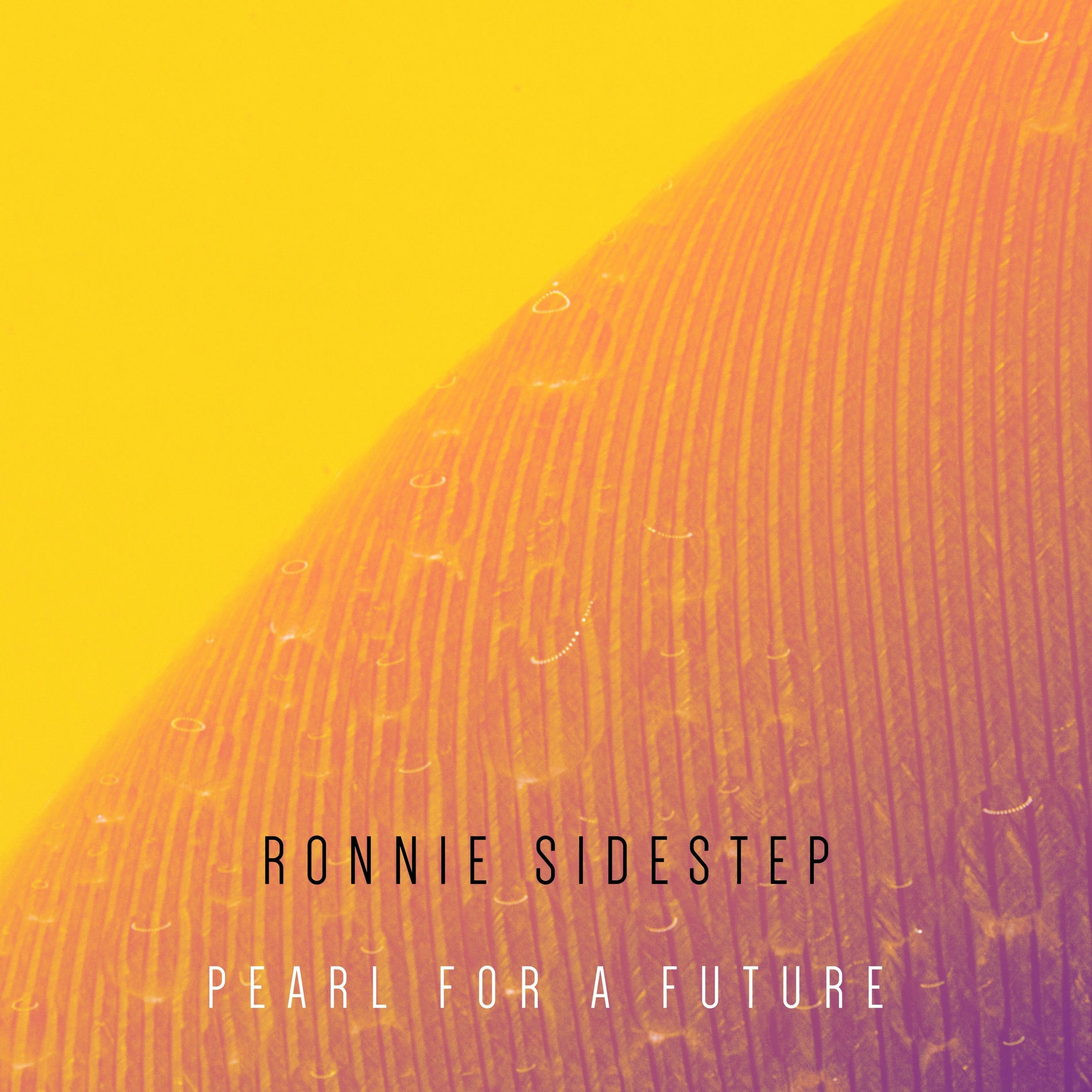 Album cover of Pearl for a Future