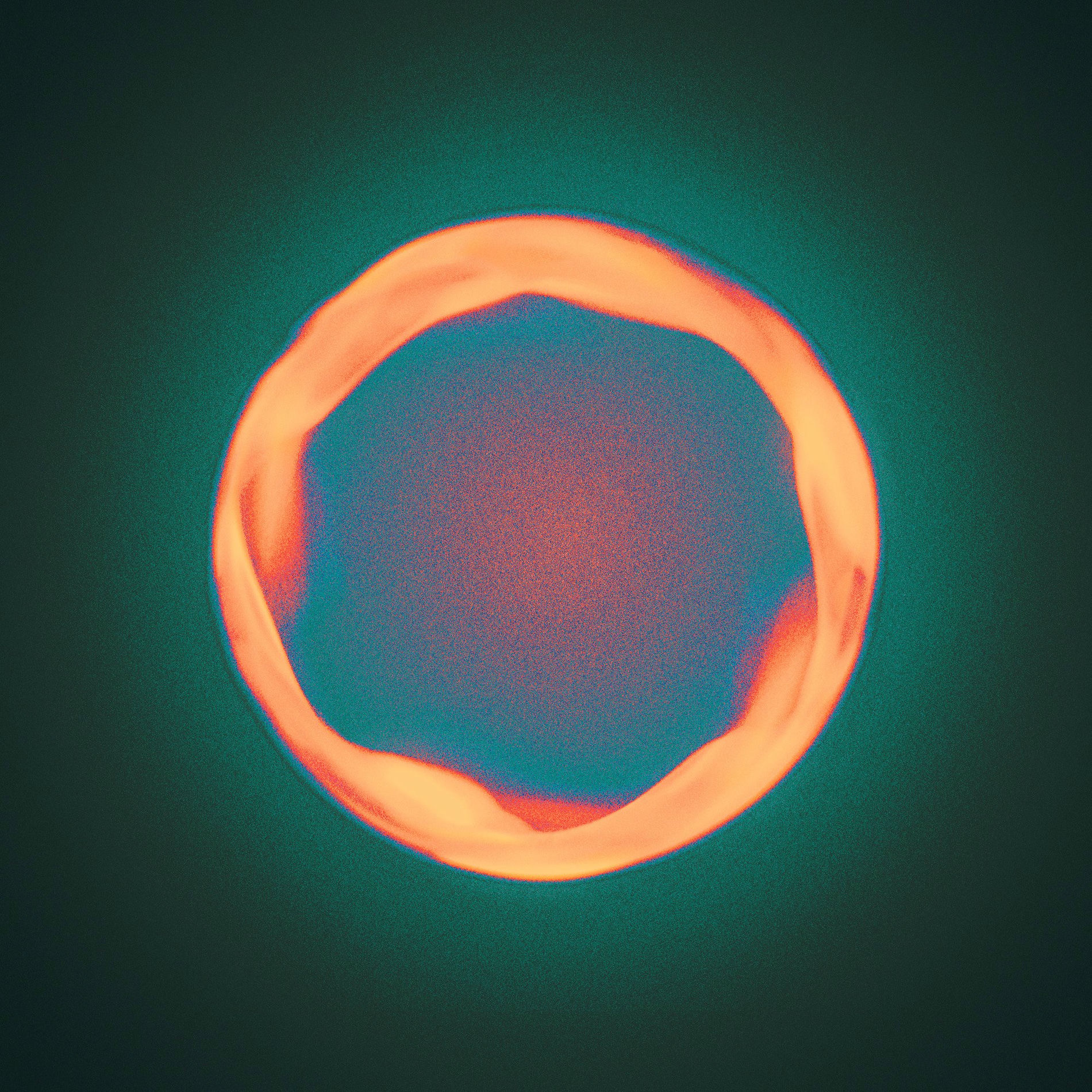 Album cover of Condate