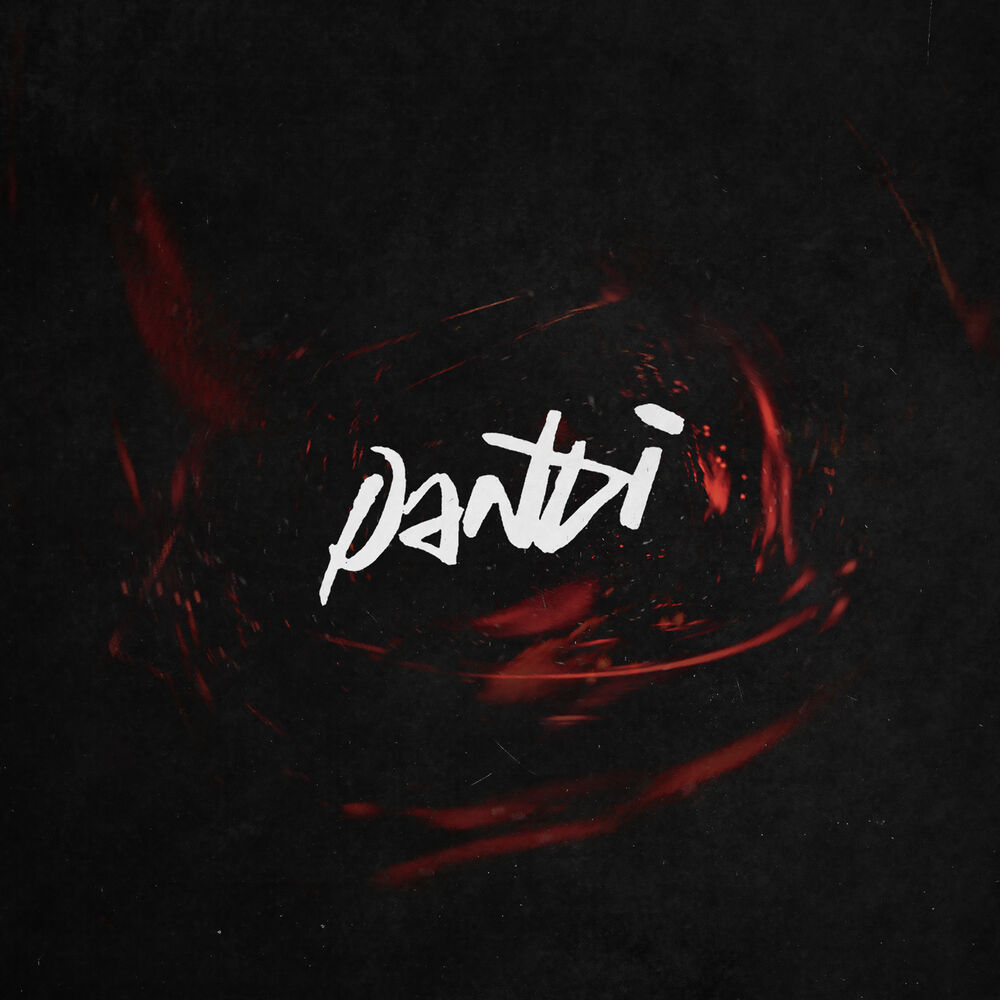 Picture of pandi