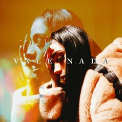 Cover of Vale Nada