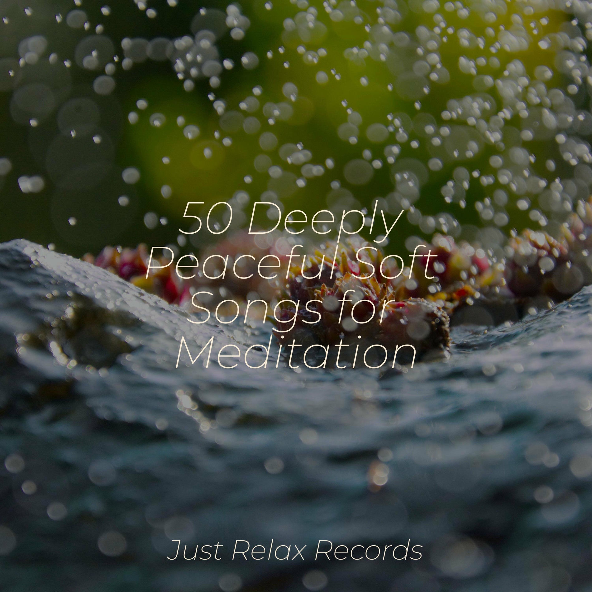 Album cover of 50 Deeply Peaceful Soft Songs for Meditation