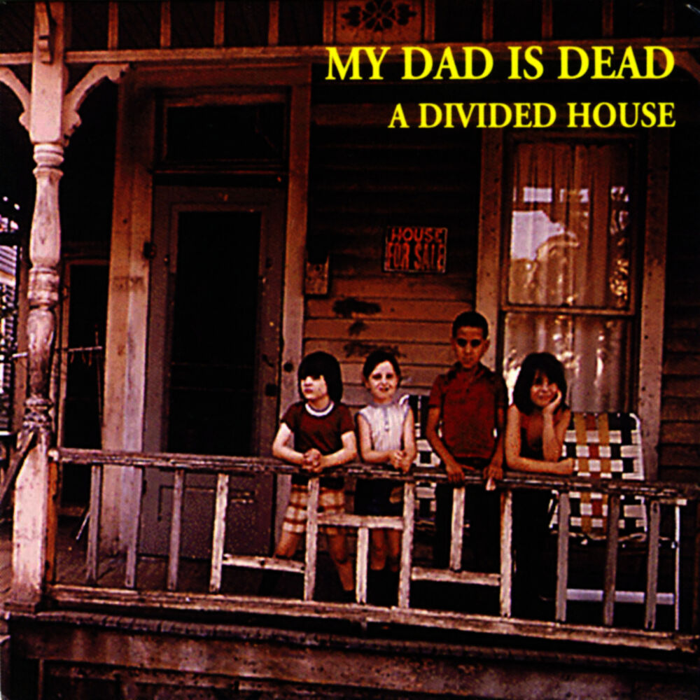 Picture of A Divided House