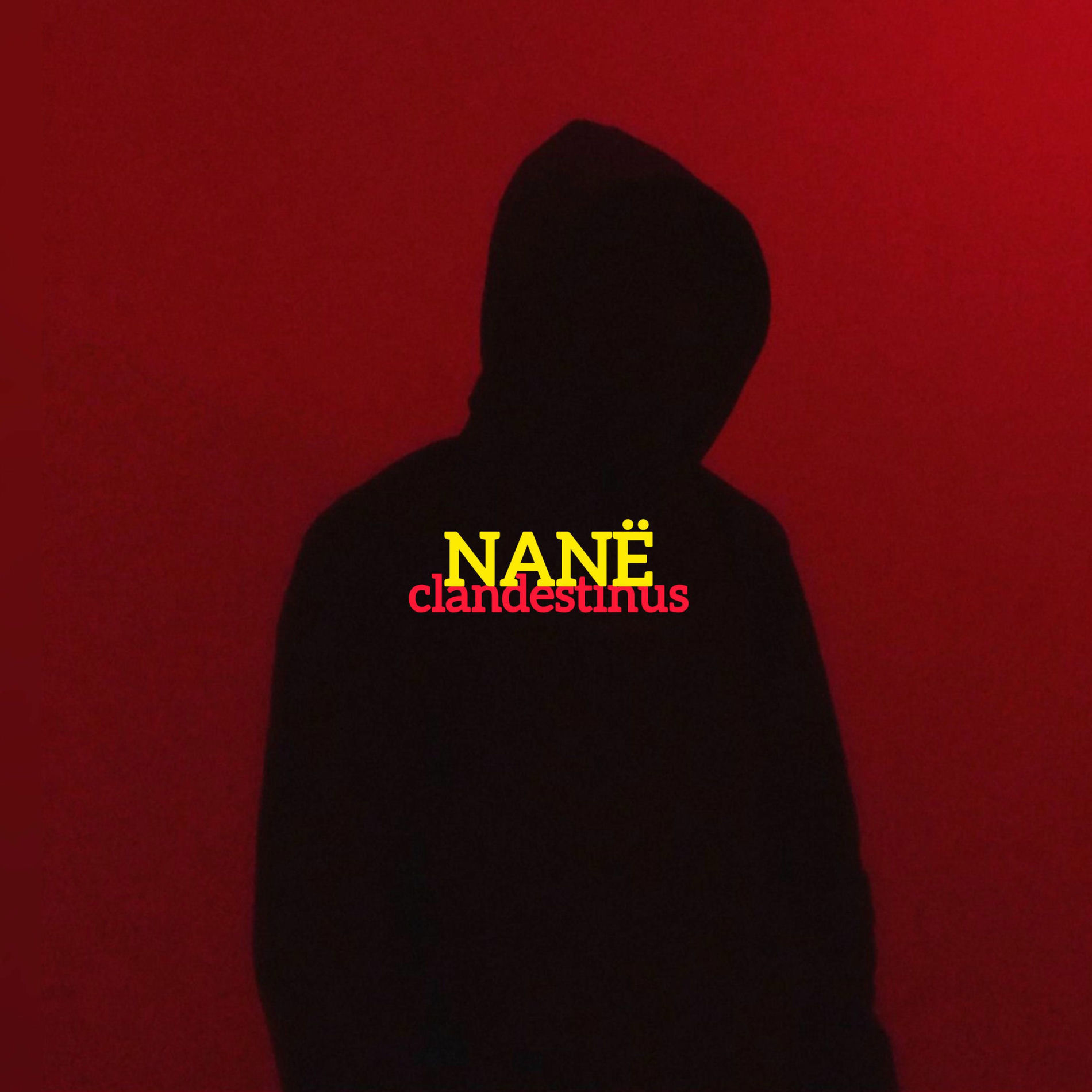 Album cover of NANE (feat. Unikkatil)