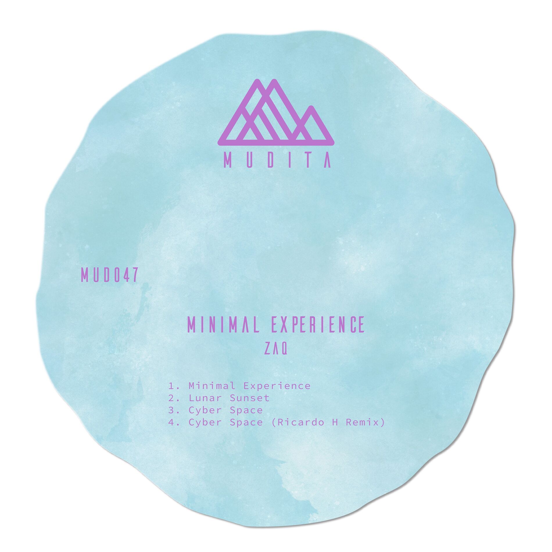 Album cover of Minimal Experience