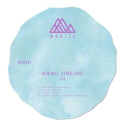 Cover of Minimal Experience