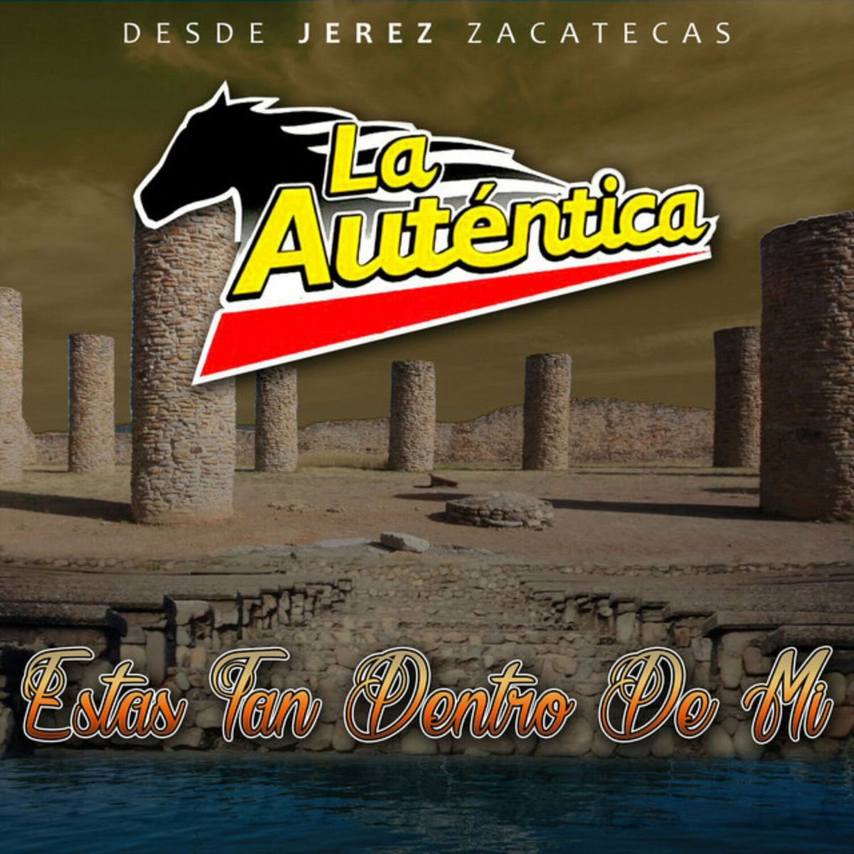 Album cover of Qué Tonto Fui