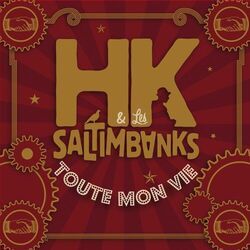 Cover of Toute mon vie