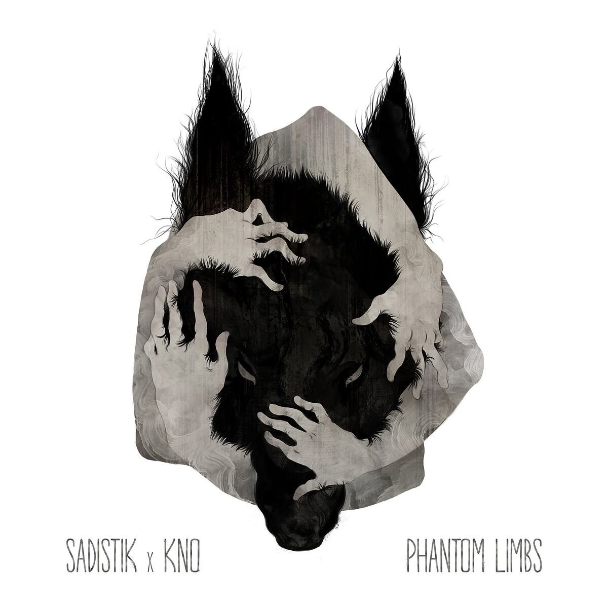 Album cover of Phantom Limbs
