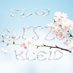 Cover of Glitzerkleid