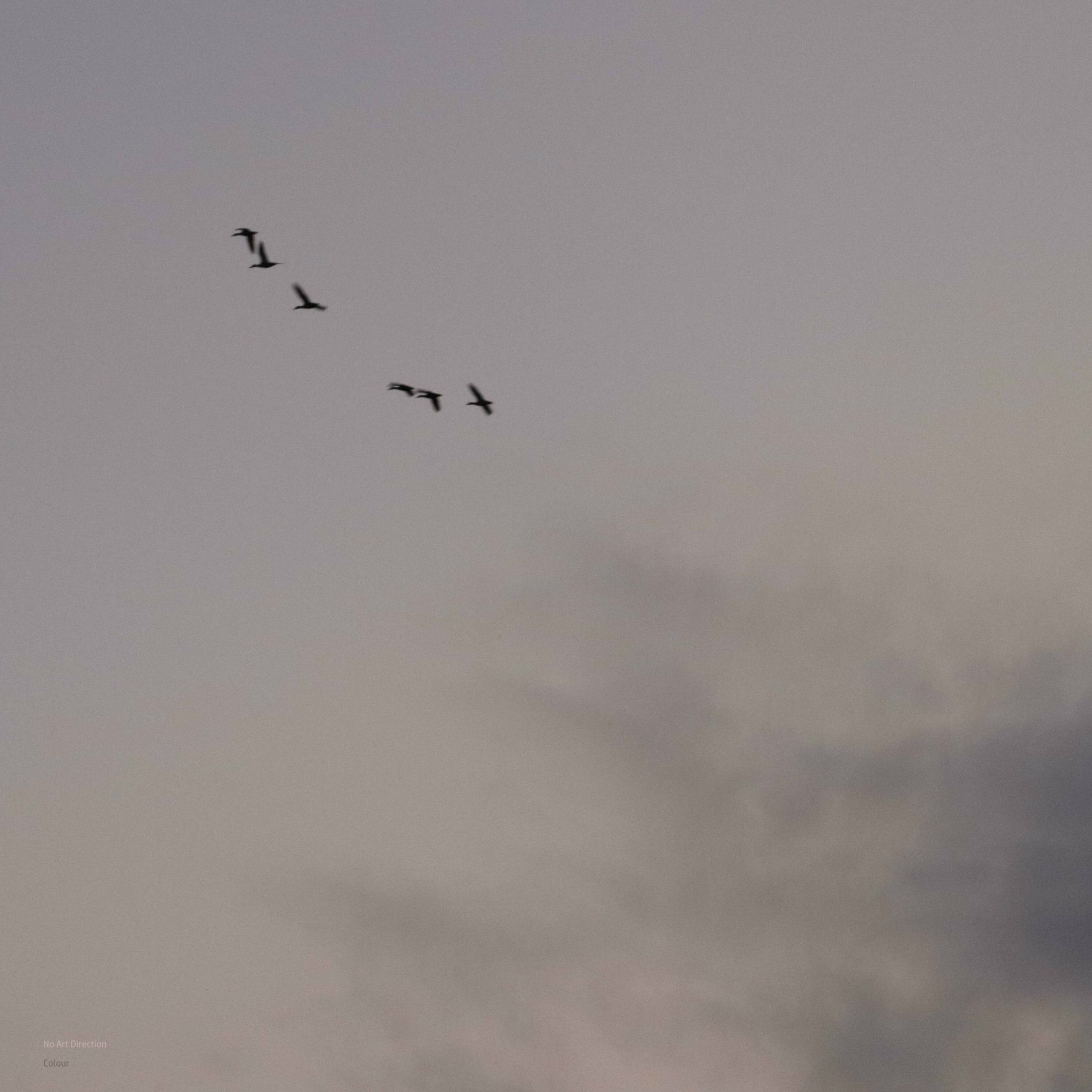 Album cover of No Art Direction