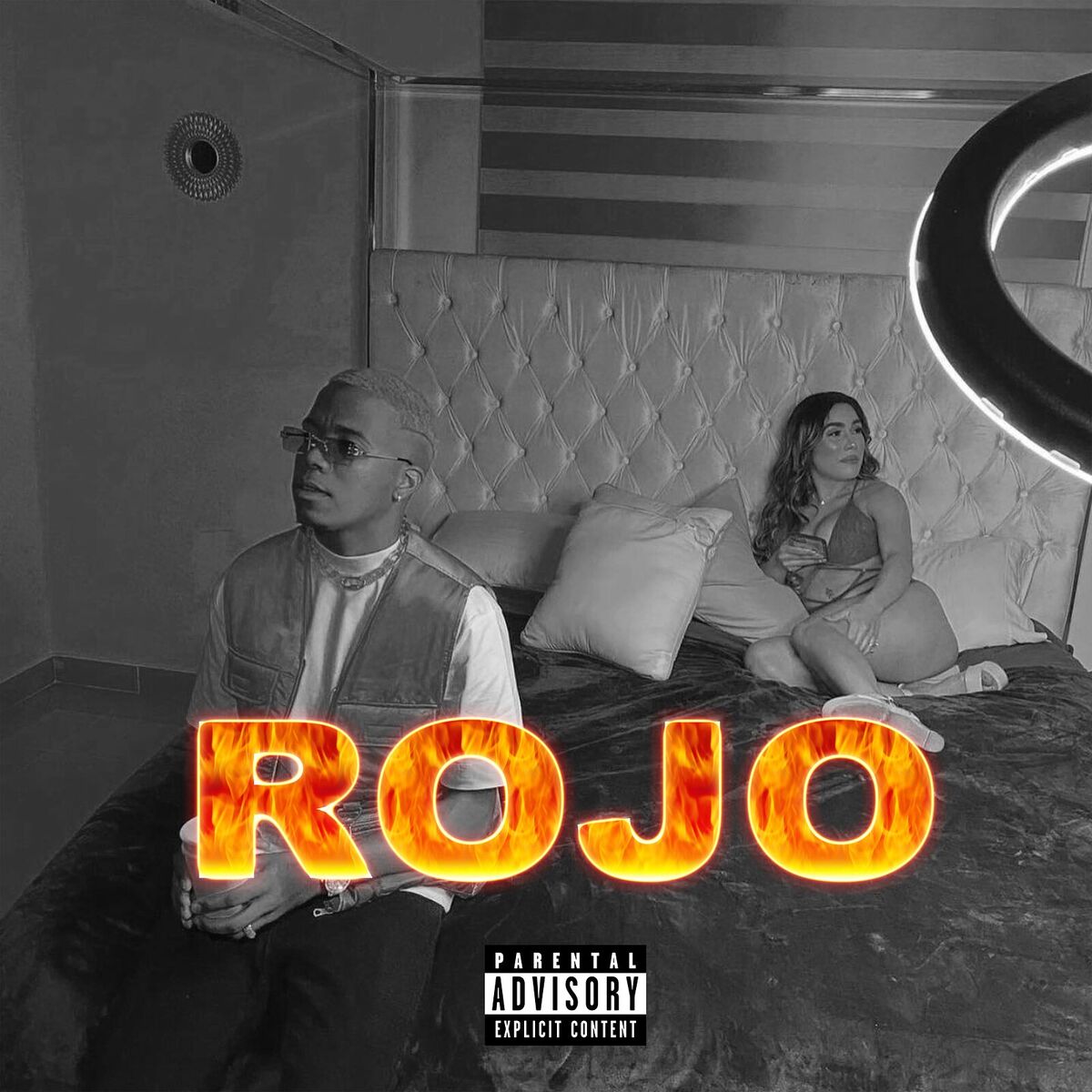 Album cover of Rojo