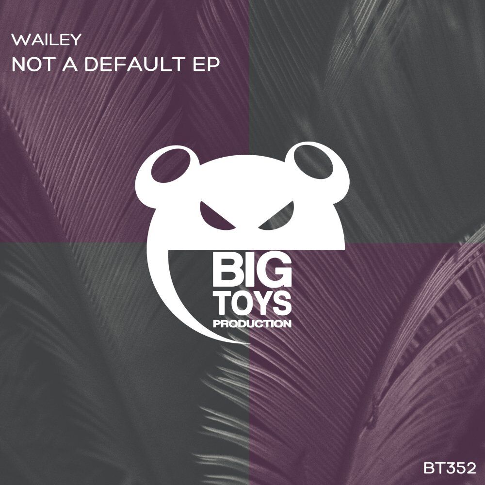 Picture of Not a Default EP