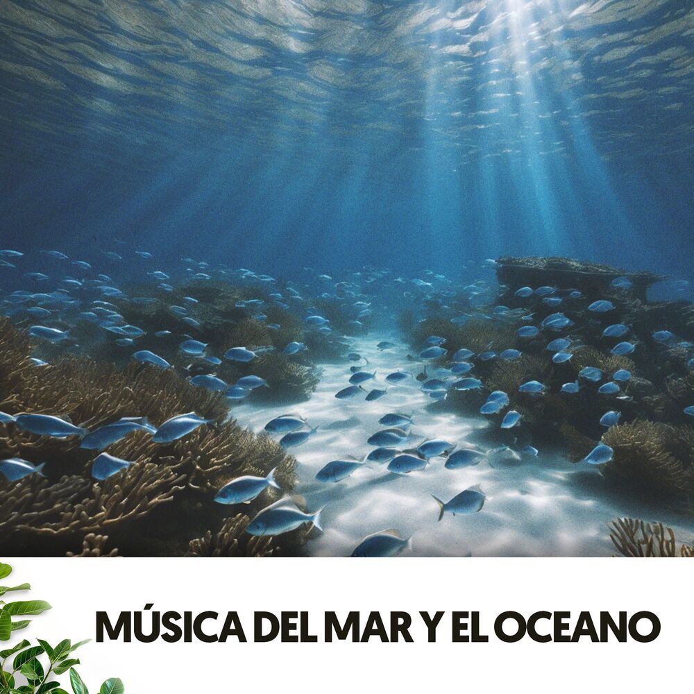 Picture of Sonidos del Oceano y el Mar: Melodías bajo las olas