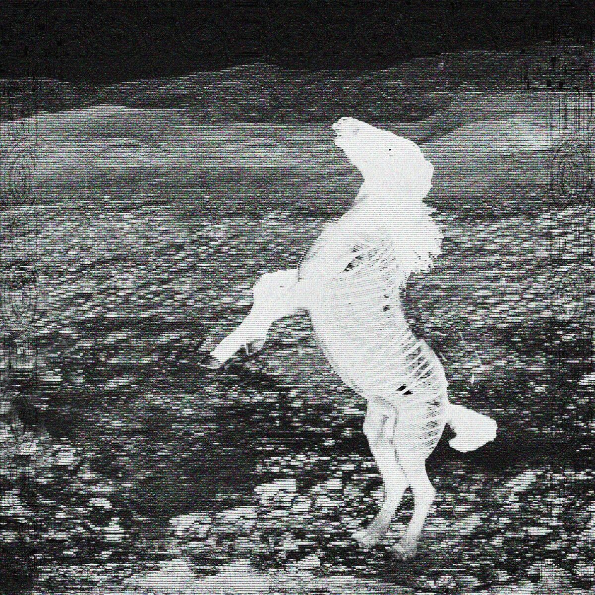 Album cover of EQUUS