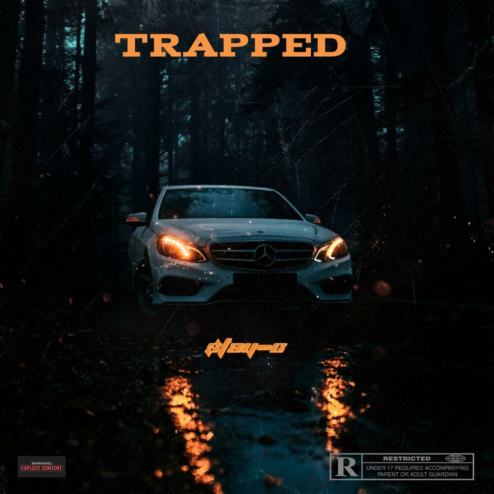 Picture of Trapped