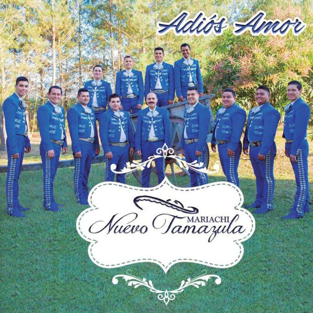 Picture of Adios Amor