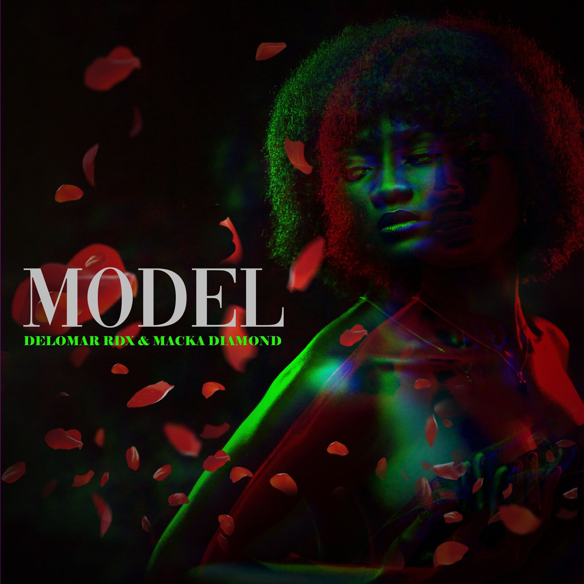 Album cover of Model