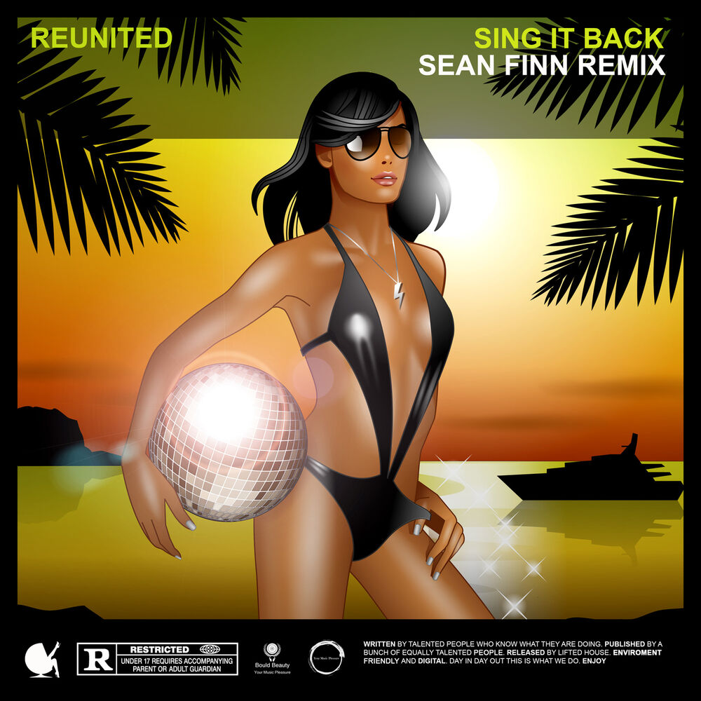 Picture of Sing It Back (Sean Finn Remix)
