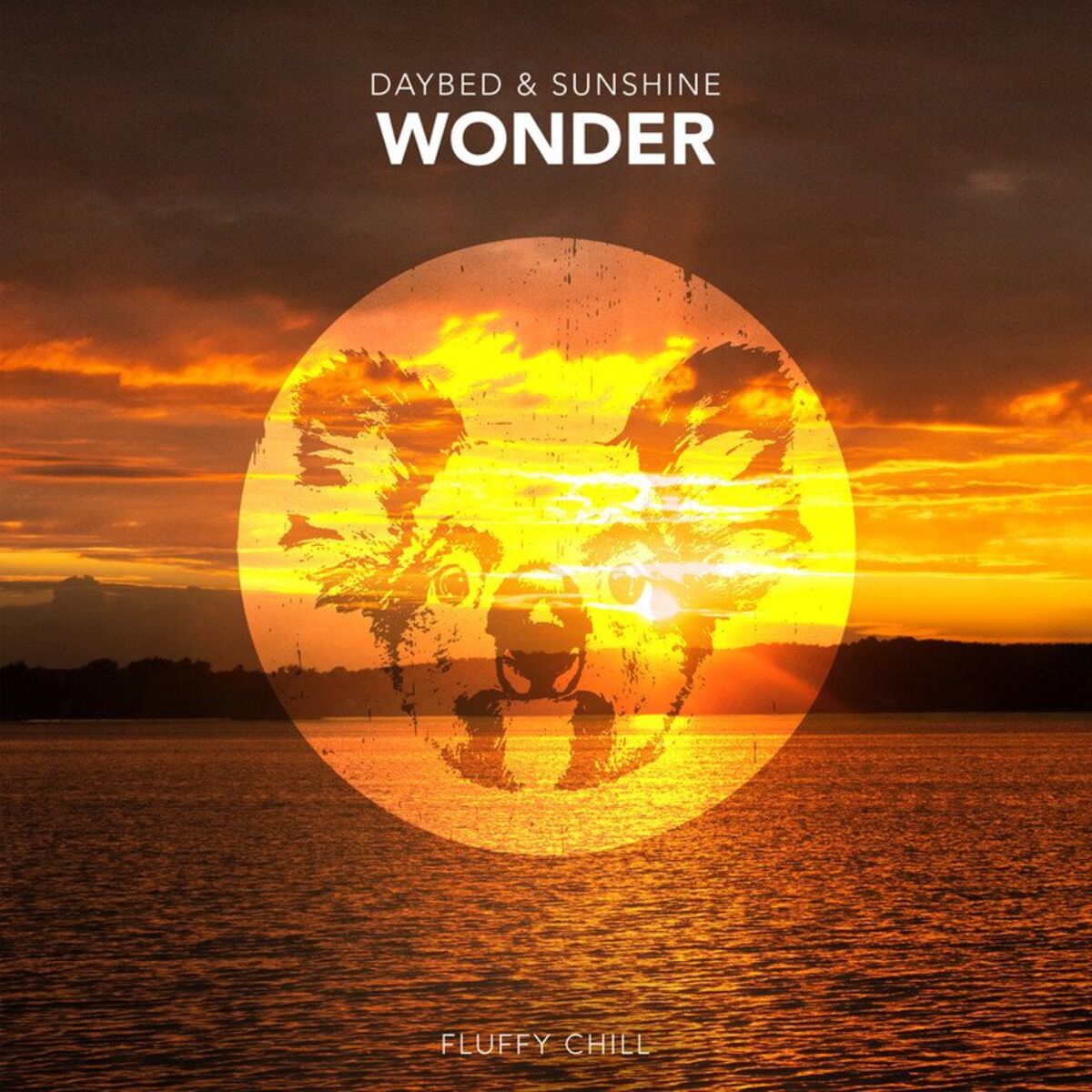Album cover of Wonder