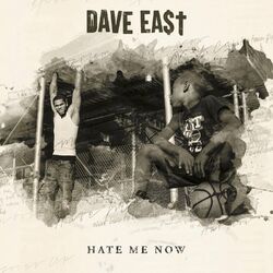 Cover of Hate Me Now
