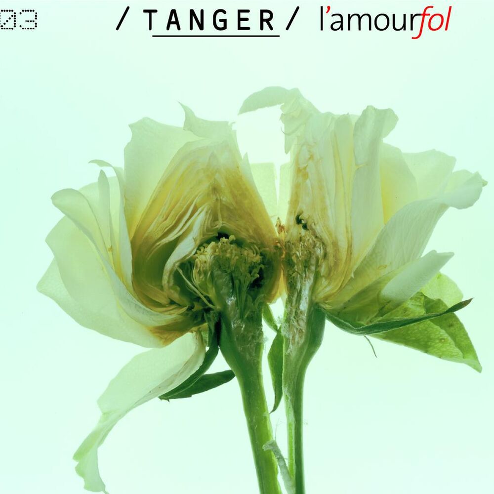 Picture of L'Amour fol