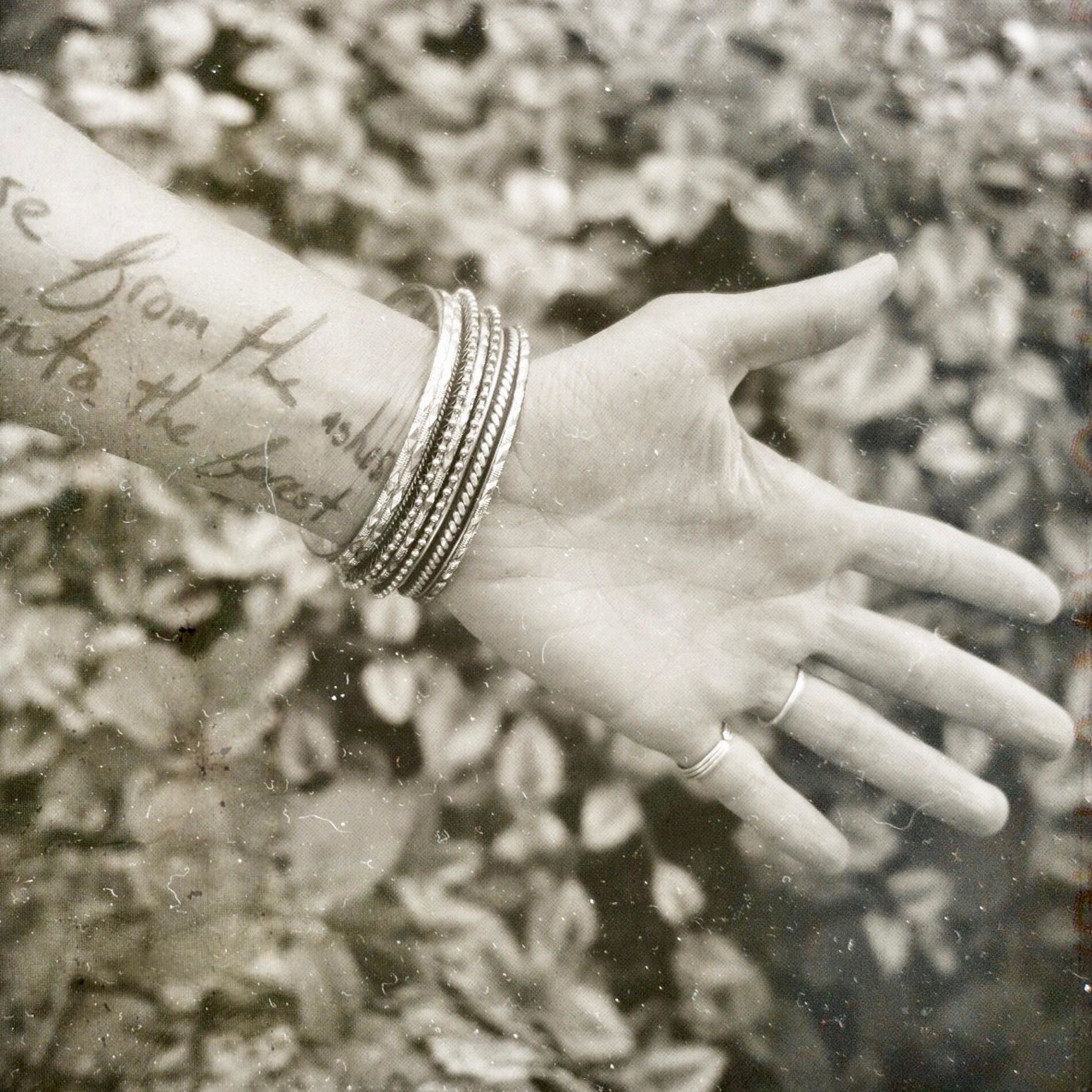 Album cover of Pulse