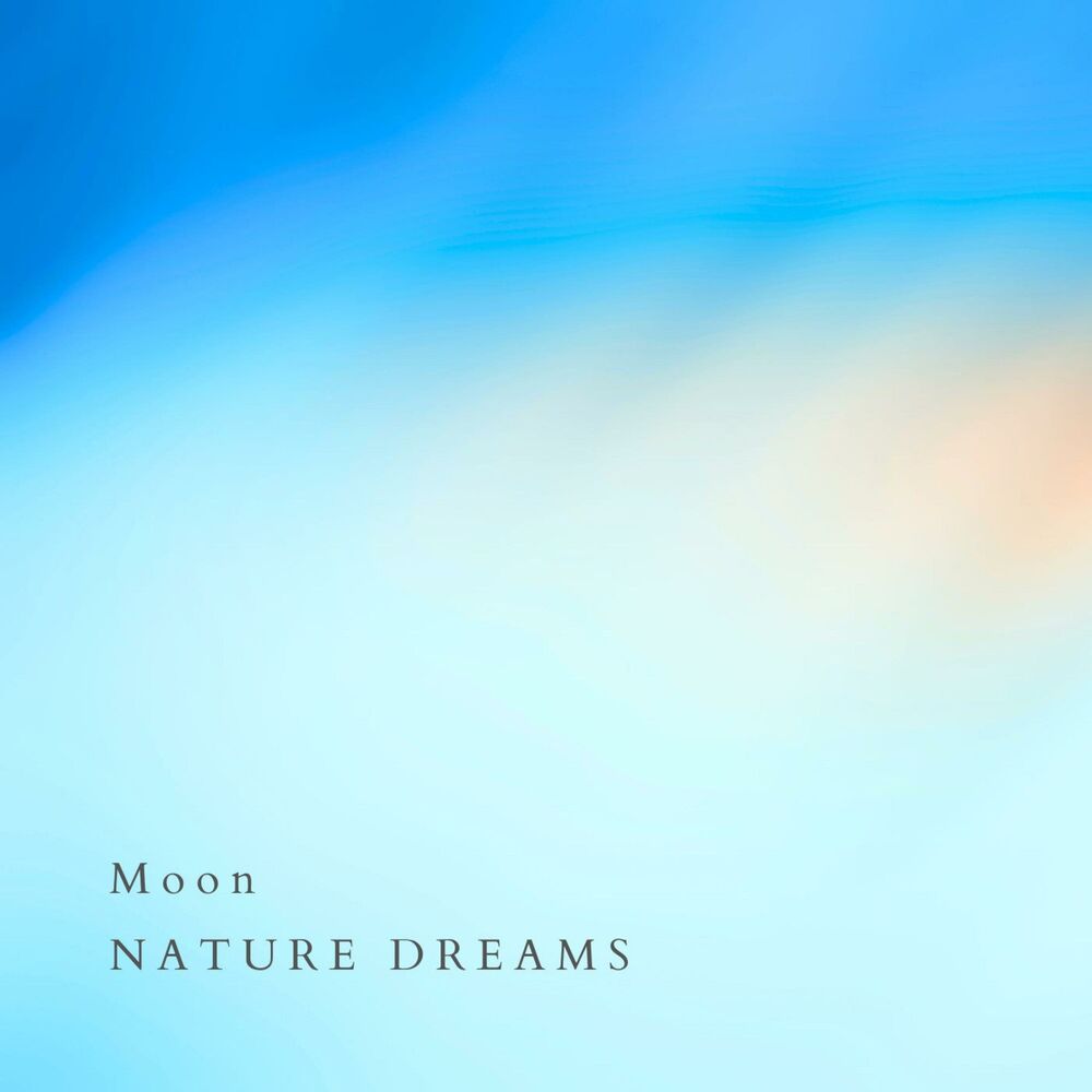 Picture of Moon
