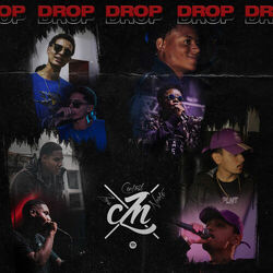Cover of Drop