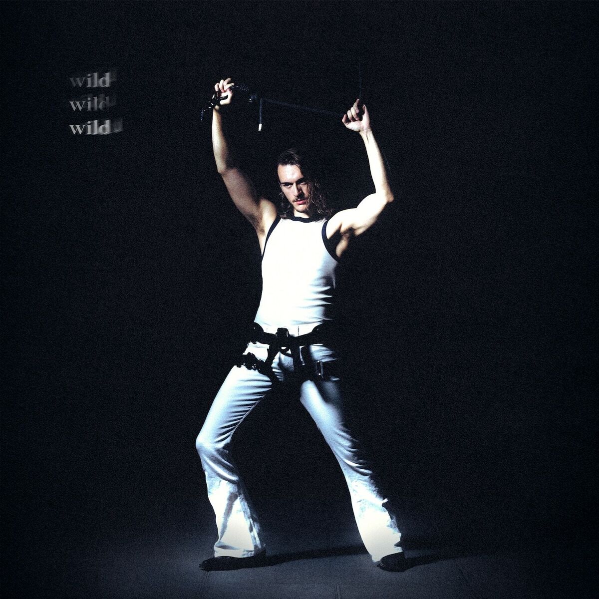 Album cover of Wild, Wild, Wild