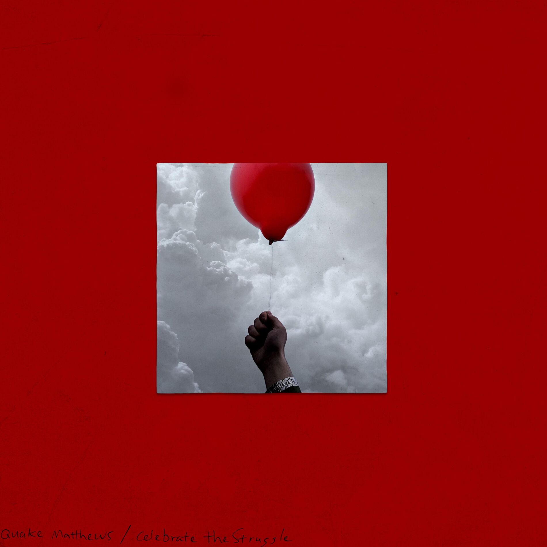 Album cover of Celebrate the Struggle
