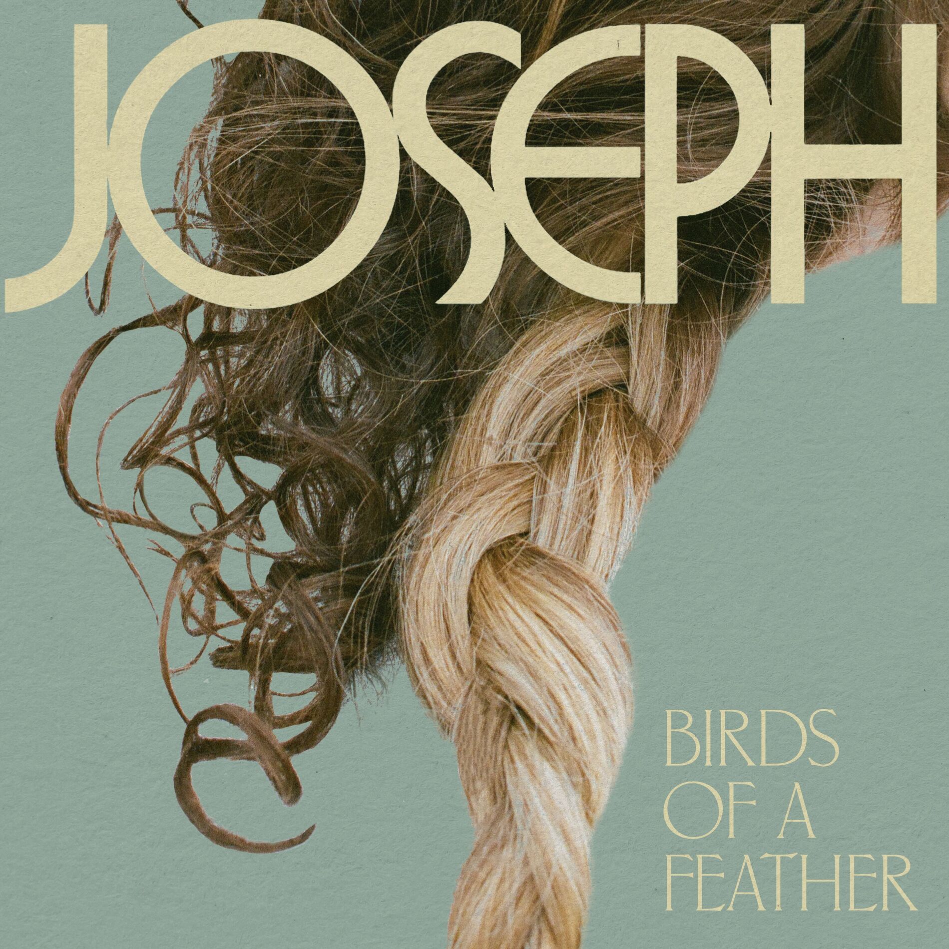 Album cover of Birds of a Feather