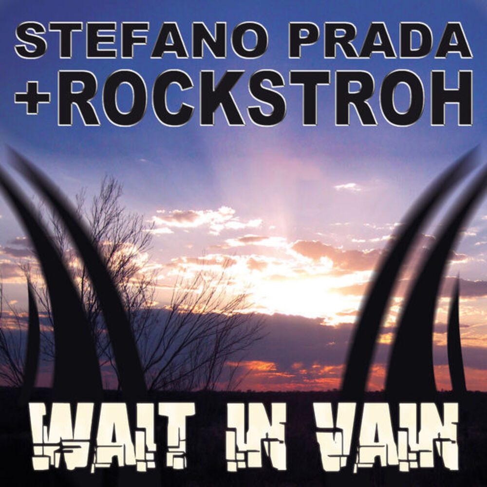 Picture of Wait In Vain