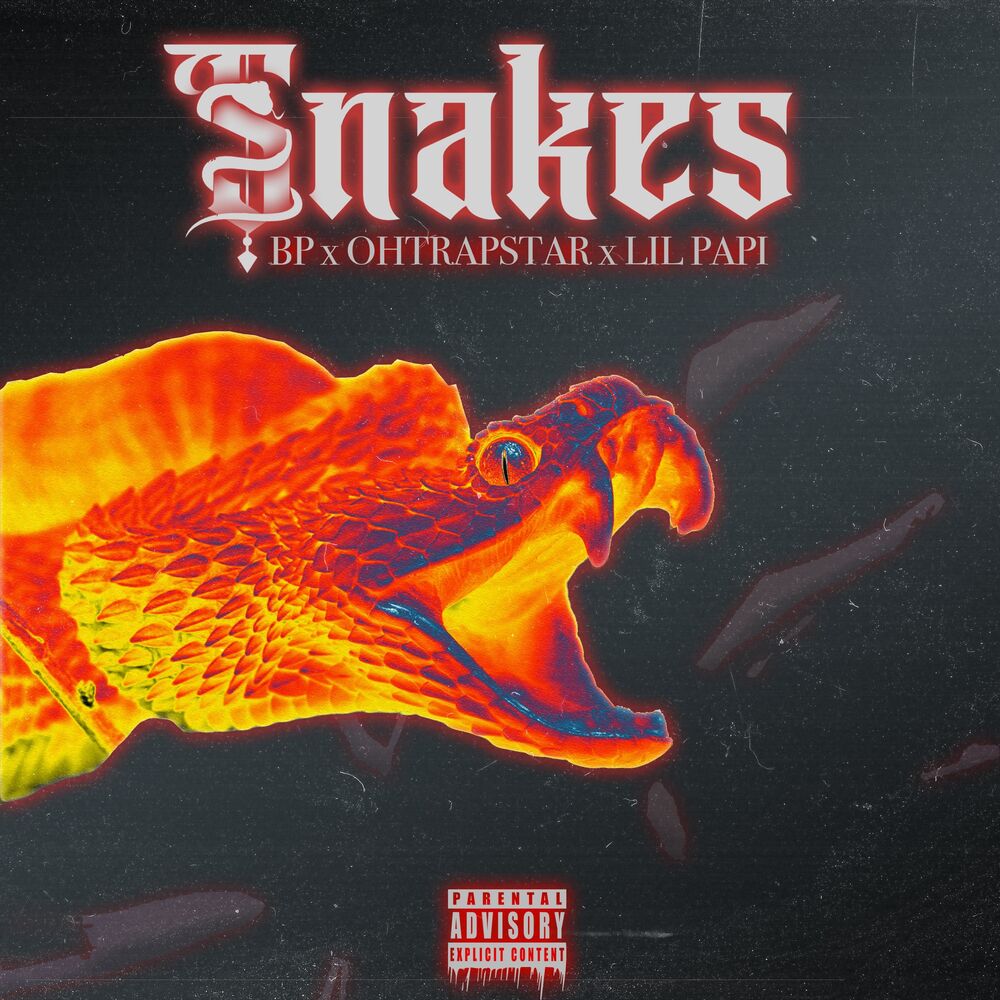 Picture of SNAKES (feat. Lil Papi & Ohtrapstar)