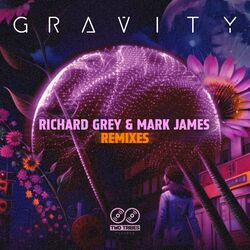 Cover of Gravity (Remixes)