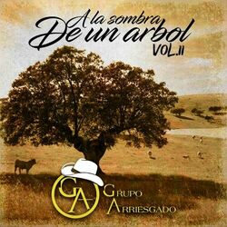 Cover of A La Sombra De Un Árbol, Vol. II (En Vivo)