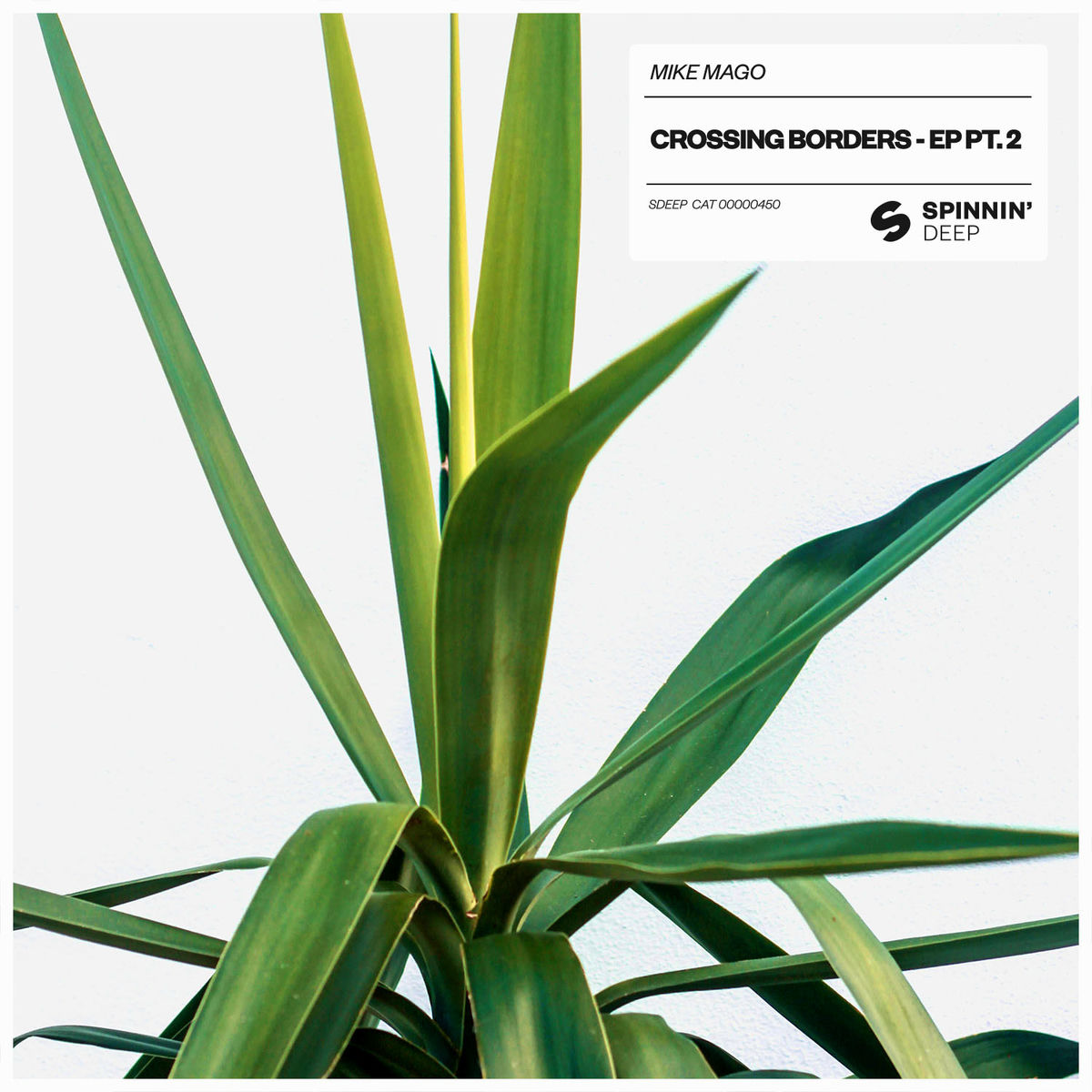 Album cover of Give Me Your Love
