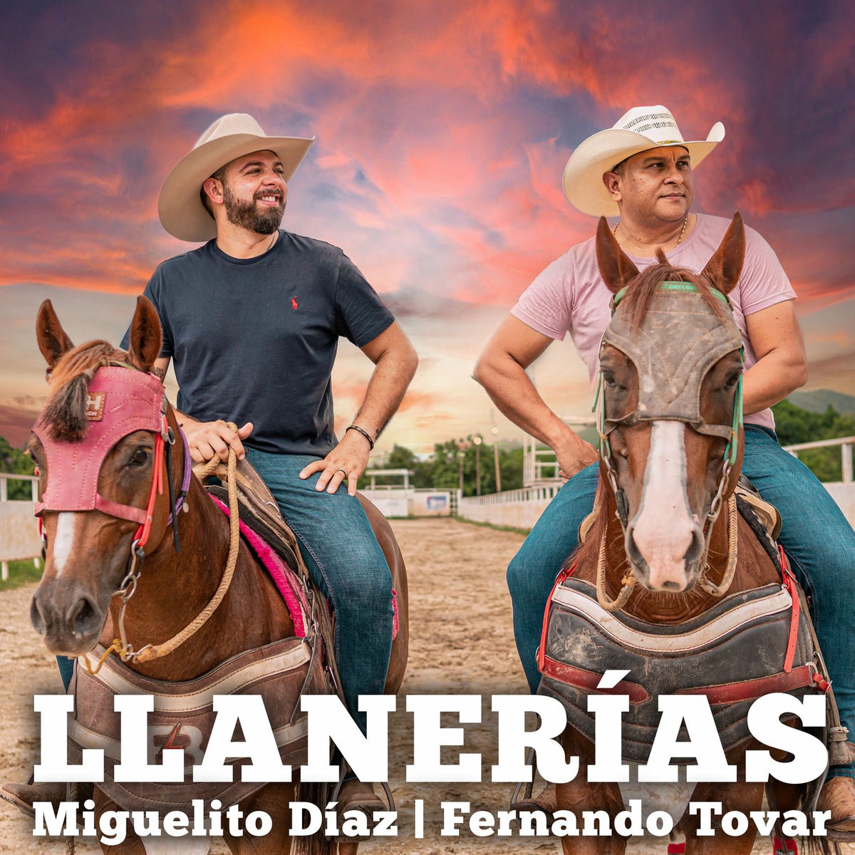 Album cover of Llanerías