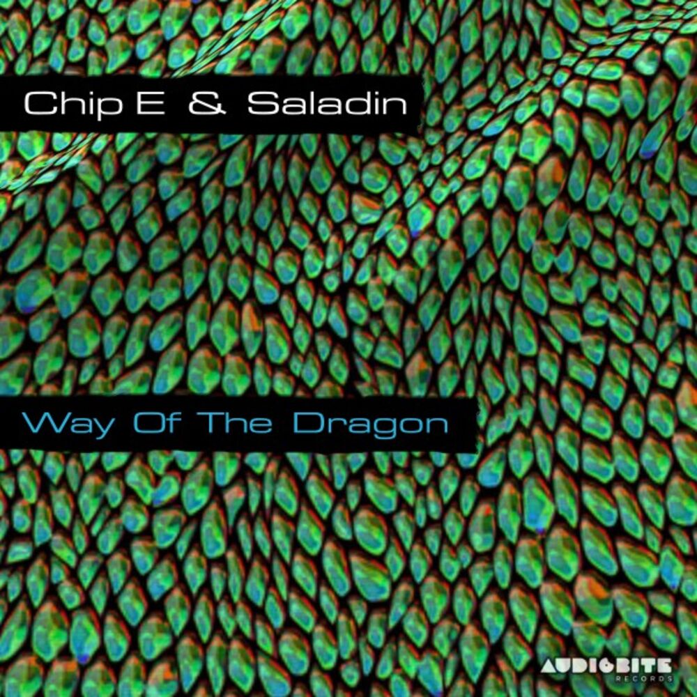 Picture of Way of the Dragon