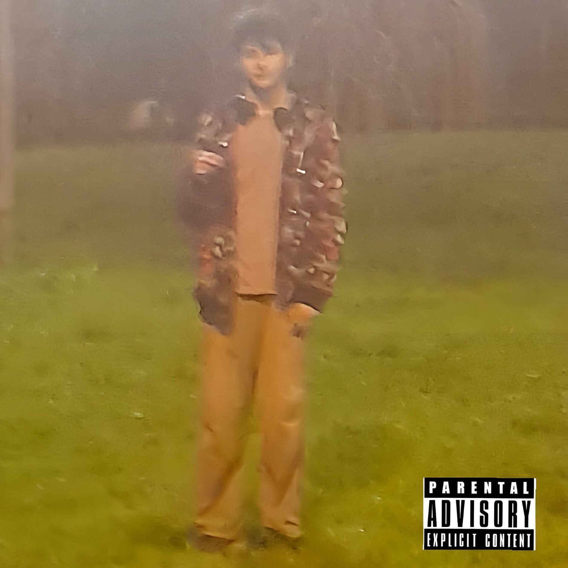 Album cover of Curfew I