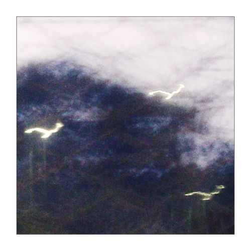 homelight artwork