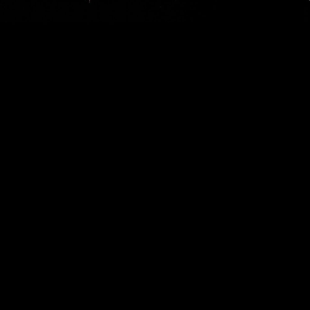 Picture of Amets bat
