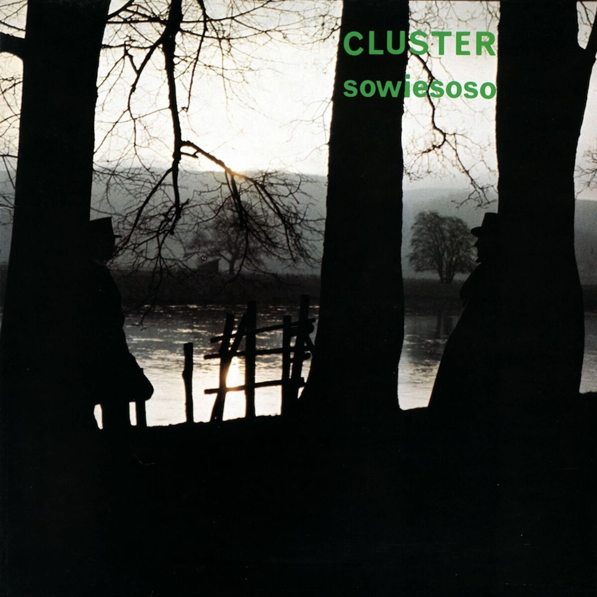 Album cover of Sowiesoso