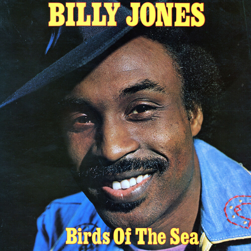 Picture of Birds of the Sea