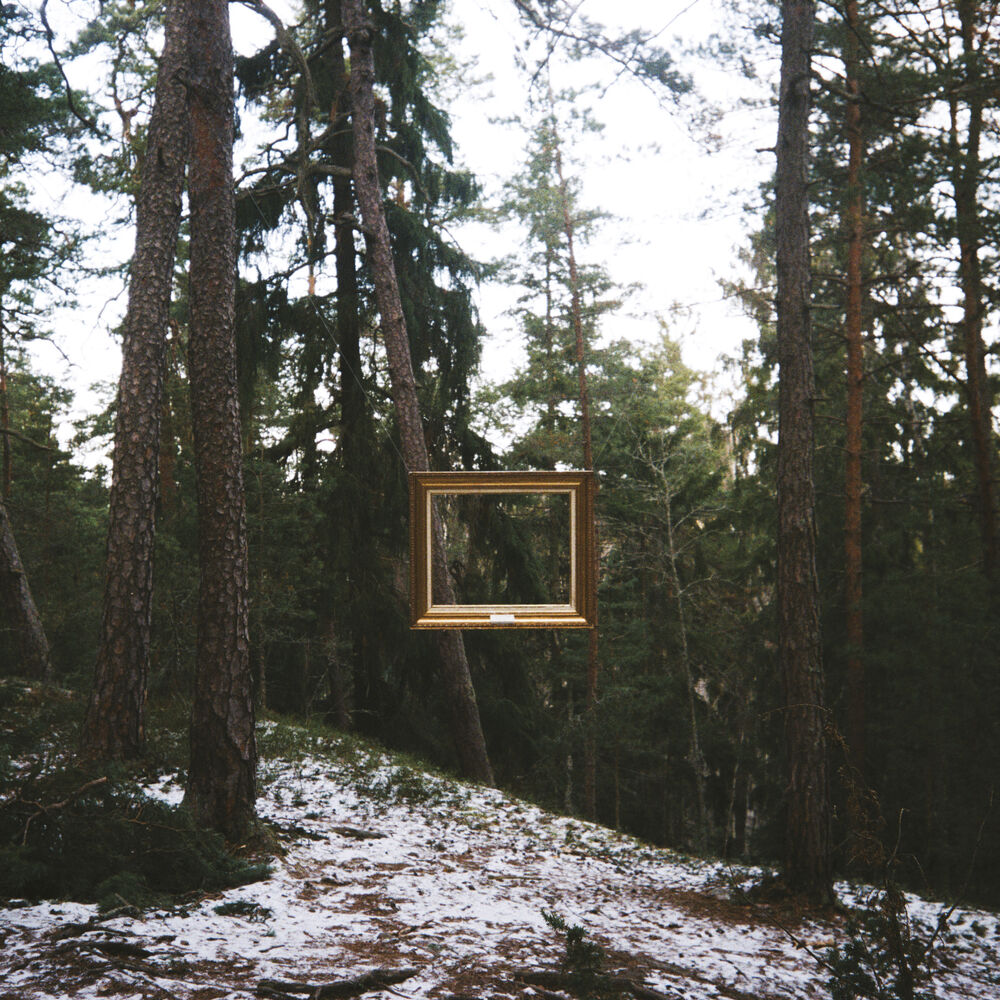Picture of Metamorphosis