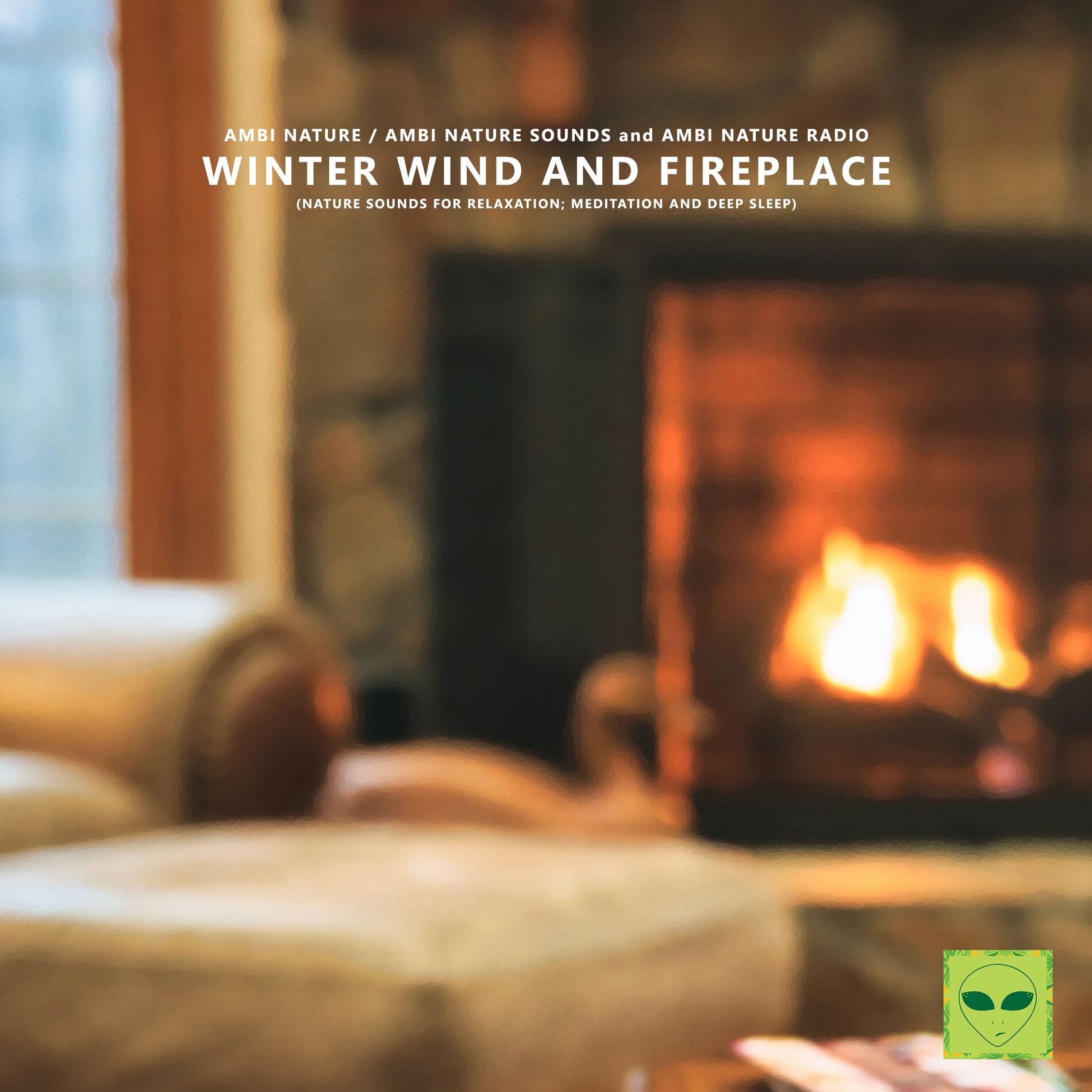 Album cover of Winter Wind and Fireplace (Nature Sounds for Relaxation, Meditation and Deep Sleep)