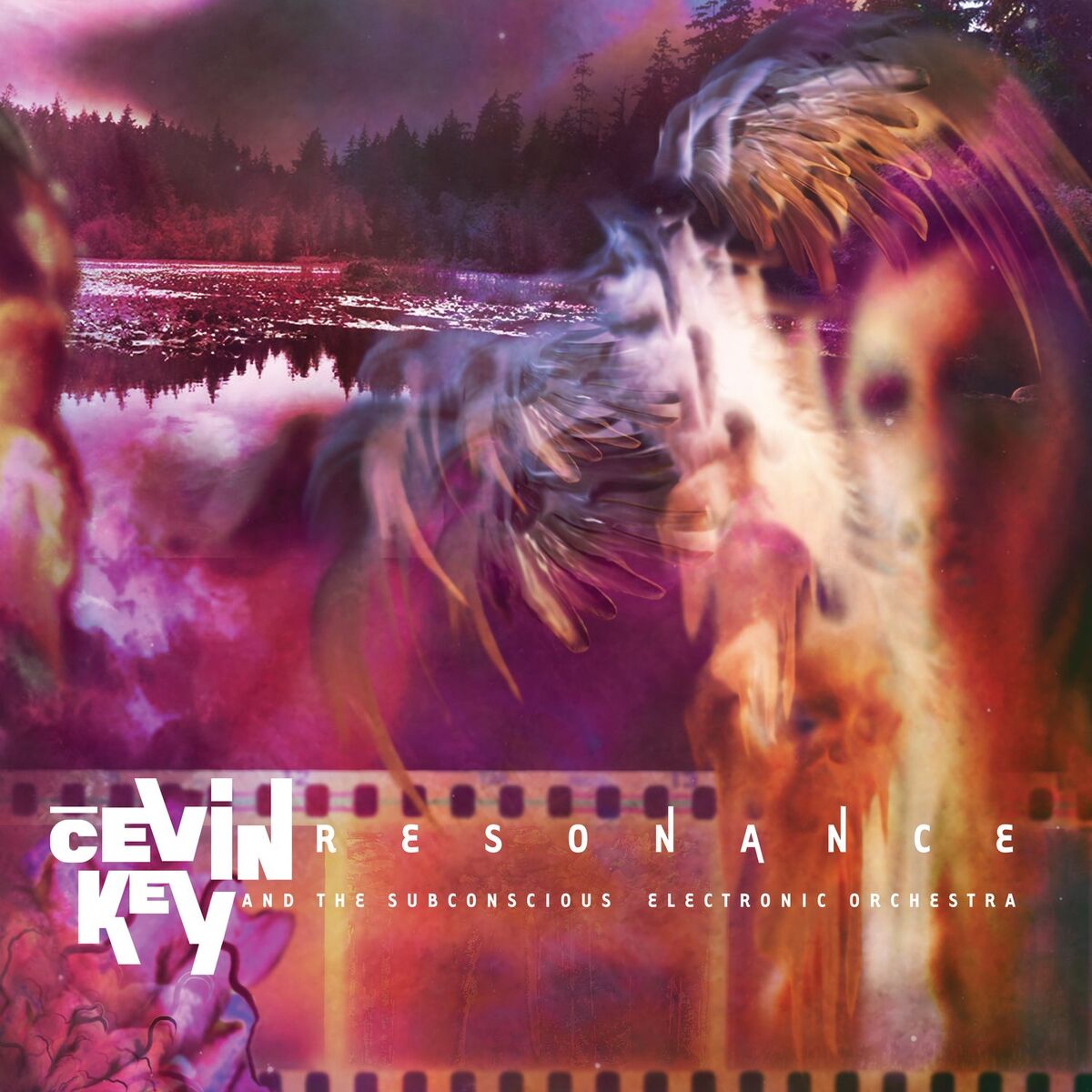 Album cover of Resonance